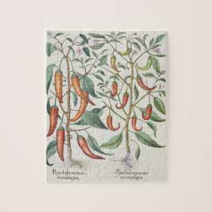 Peppers: 1.Piper Indicum maximum longum; 2.Piper I Jigsaw Puzzle