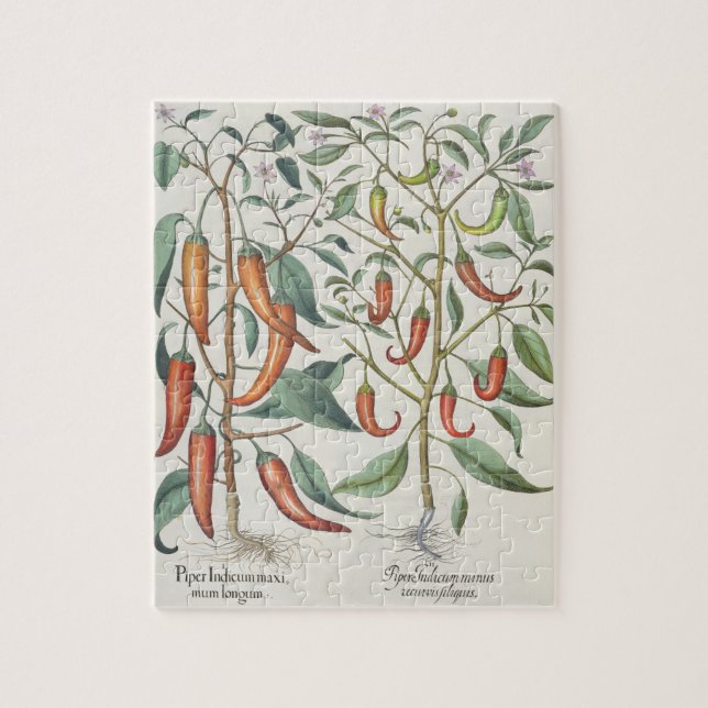 Peppers: 1.Piper Indicum maximum longum; 2.Piper I Jigsaw Puzzle (Vertical)