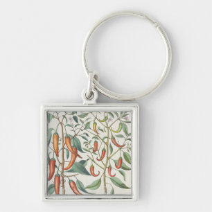 Peppers: 1.Piper Indicum maximum longum; 2.Piper I Key Ring