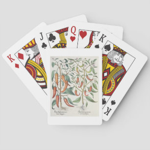 Peppers: 1.Piper Indicum maximum longum; 2.Piper I Playing Cards