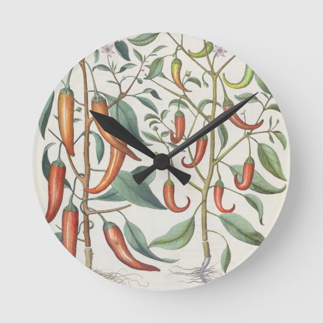 Peppers: 1.Piper Indicum maximum longum; 2.Piper I Round Clock (Front)