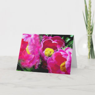 Pepper's Magenta Peony Garden Card