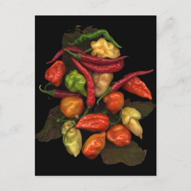 Peppers Postcard (Front)