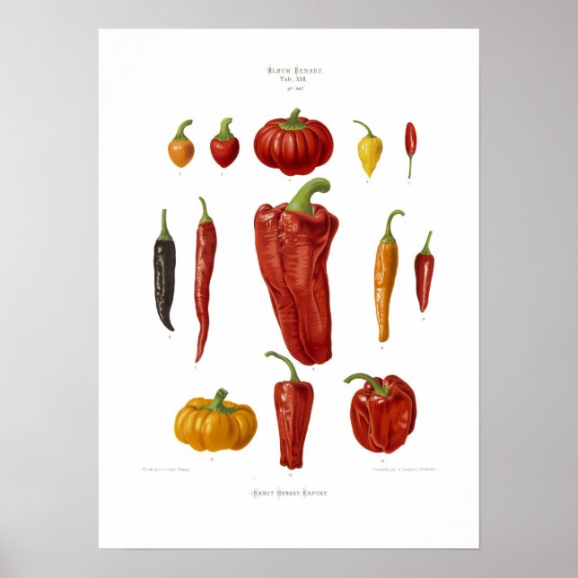 Peppers Poster (Front)