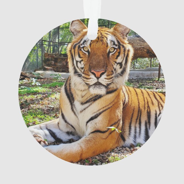 Pepsi - ornament (Back)