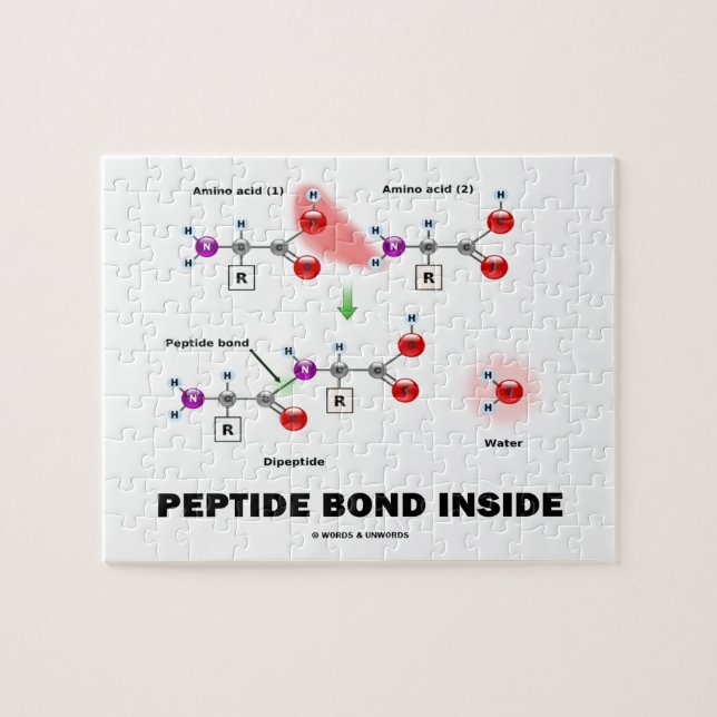 Peptide Bond Inside Chemical Molecules Jigsaw Puzzle (Horizontal)