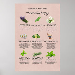 Pequeña guía de aceites esenciales en español poster