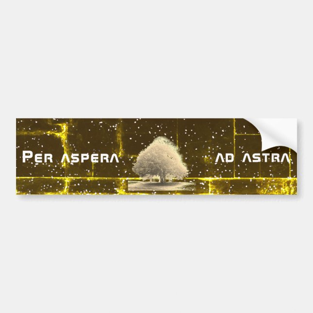 Per aspera ad astra bumper sticker (Front)