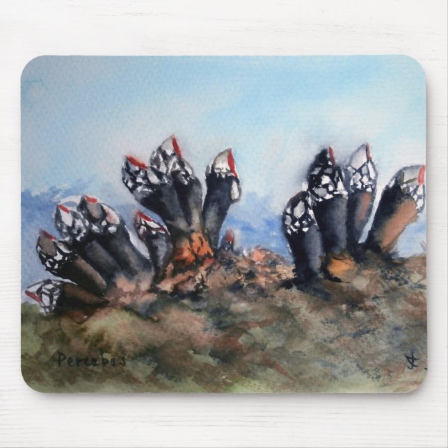 Percebes/Barnacles Mouse Mat (Front)