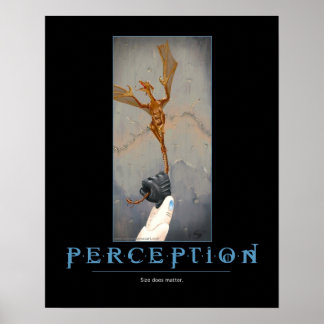Perception Poster
