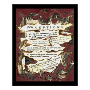 Perceptions Poster