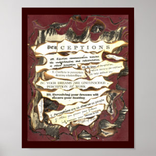 Perceptions Poster