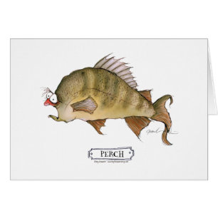 Perch fish, tony fernandes