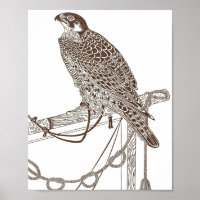 Perched Falcon, Iconic, Falcon Art, Japan Print