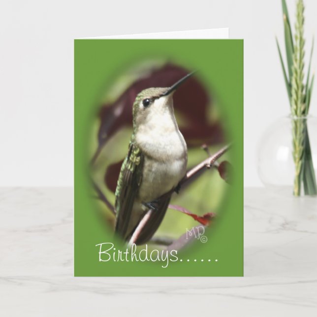 Perched female Hummingbird- customise any occasion Card (Front)