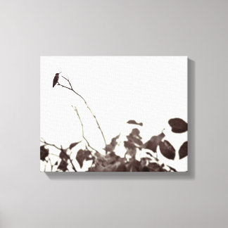Perched Hummingbird 14x11 Wrapped Canvas