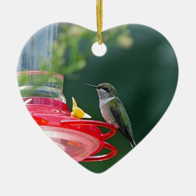 Perched Hummingbird Ceramic Tree Decoration (Front)