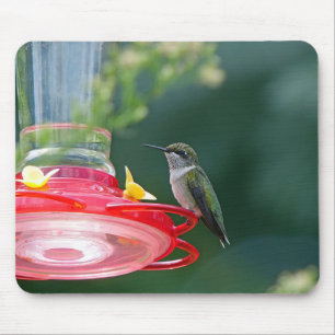 Perched Hummingbird Mouse Mat