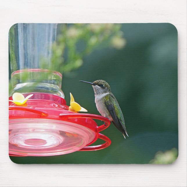 Perched Hummingbird Mouse Mat (Front)