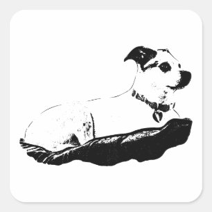 Perched & Observant Square Sticker