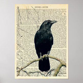 Perched Raven, Crow, Edgar Allan Poe, Gothic Poster