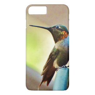 Perched Ruby and Green  little Hummingbird iPhone 8 Plus/7 Plus Case