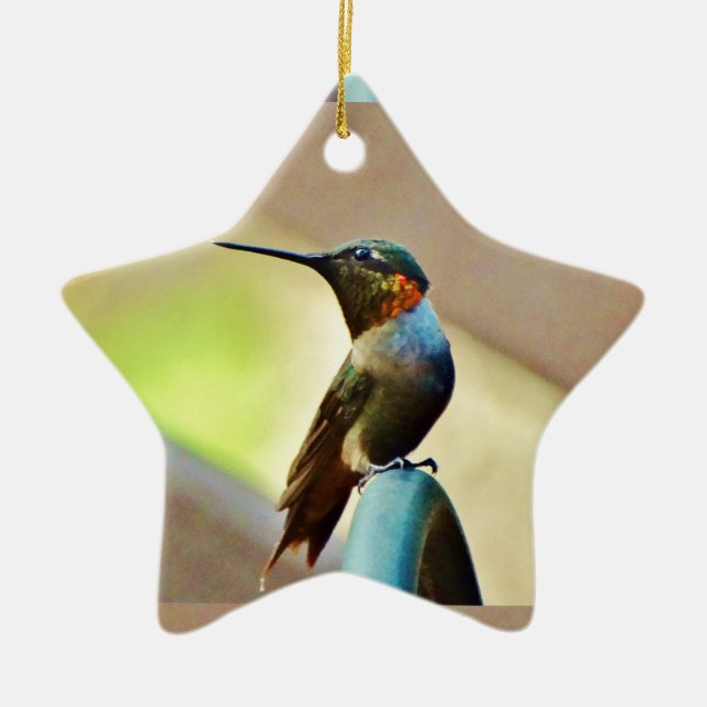 Perched Ruby and Green  little Hummingbird Ceramic Tree Decoration (Front)