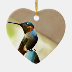Perched Ruby and Green  little Hummingbird Ceramic Tree Decoration