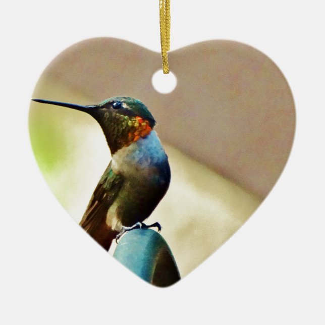 Perched Ruby and Green  little Hummingbird Ceramic Tree Decoration (Front)