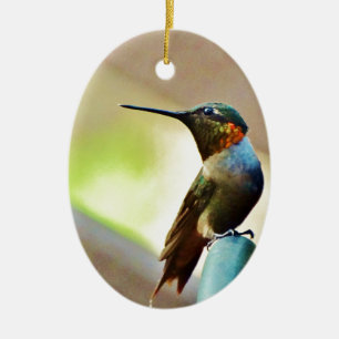 Perched Ruby and Green  little Hummingbird Ceramic Tree Decoration