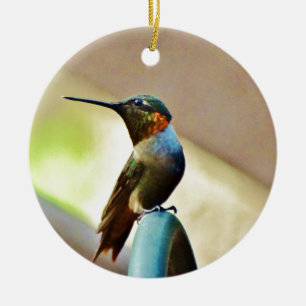 Perched Ruby and Green  little Hummingbird Ceramic Tree Decoration