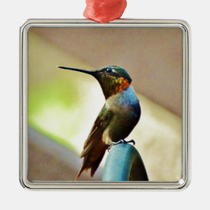 Perched Ruby and Green  little Hummingbird Metal Tree Decoration