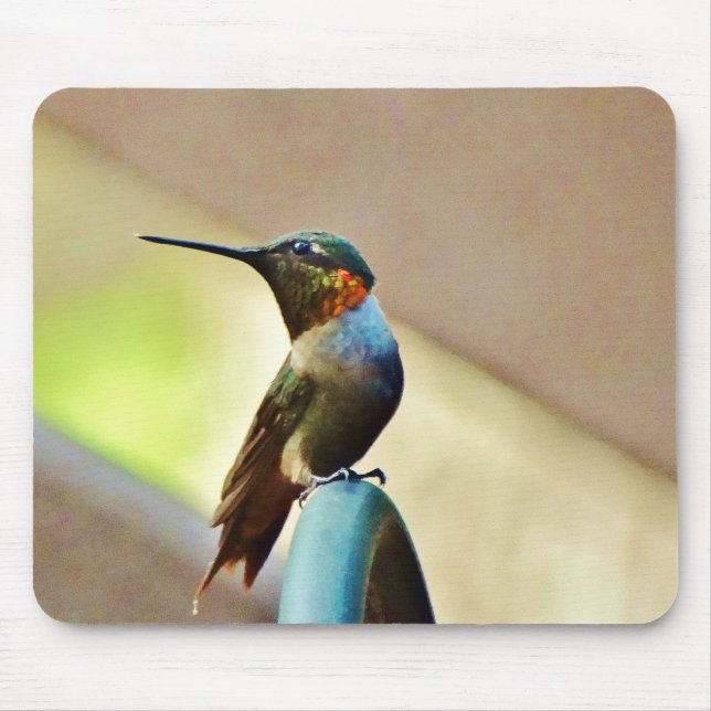 Perched Ruby and Green  little Hummingbird Mouse Mat (Front)