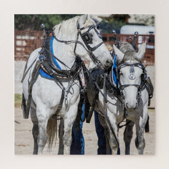 Percheron Draught Horse Jigsaw Puzzle (Vertical)