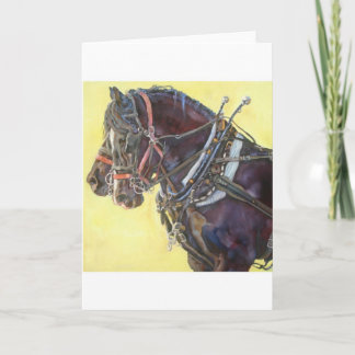 Percheron Draught   horse team greeting card