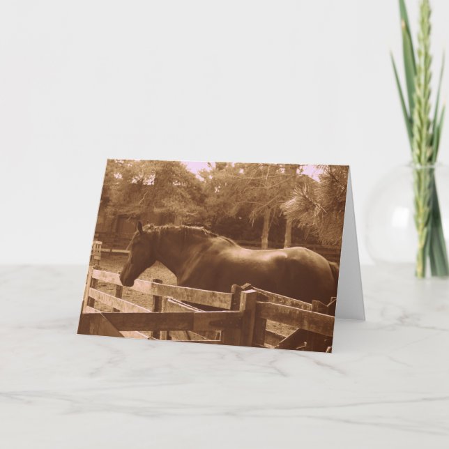 Percheron Greeting card (Front)