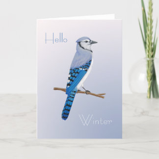Perching Blue Jay Folded Thank You Card