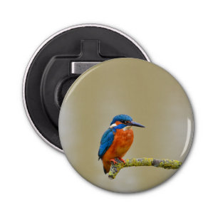 Perching Kingfisher Bottle Opener