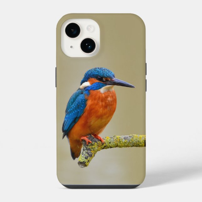 Perching Kingfisher iPhone Case (Back)
