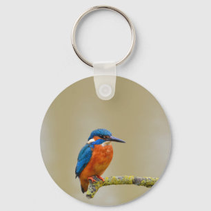 Perching Kingfisher Key Ring