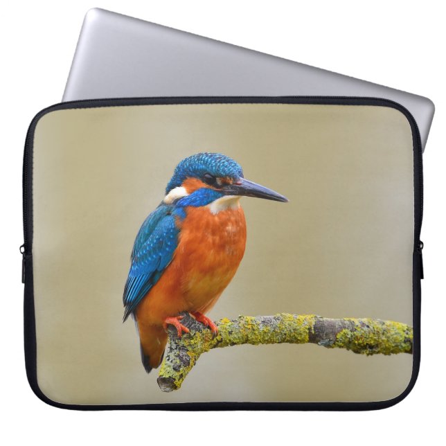 Perching Kingfisher Laptop Sleeve (Front)