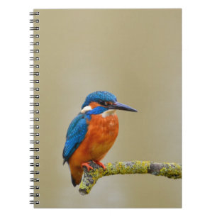 Perching Kingfisher Notebook