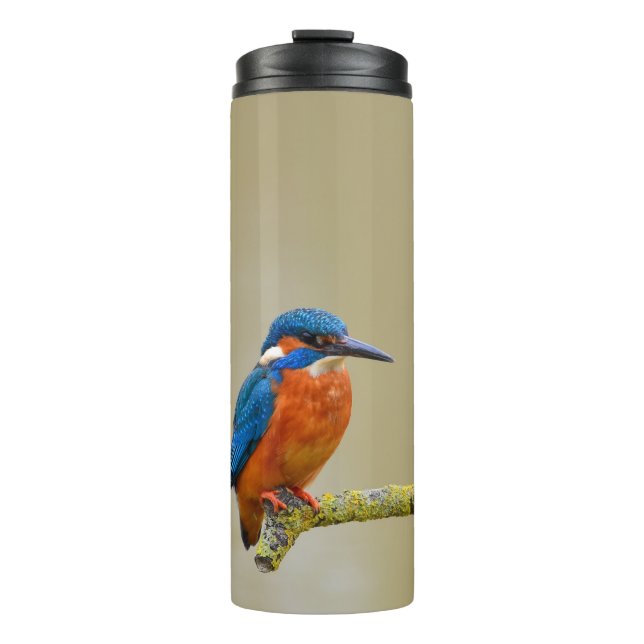 Perching Kingfisher Thermal Tumbler (Front)