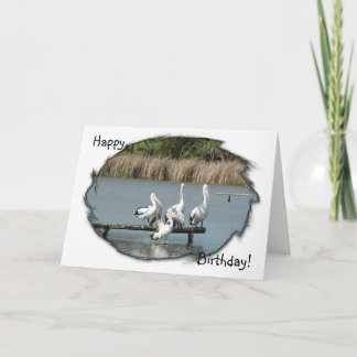 Perching Pelicans Birthday Card