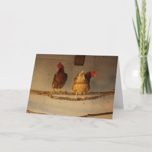 "Perching" Two Perched Chickens in Coop / Henhouse Card