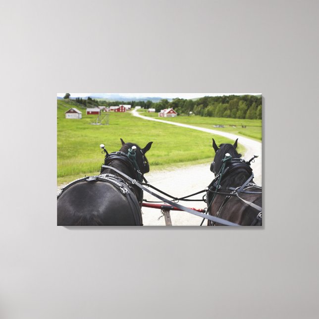 Perchon horses pulling cart  against historic canvas print (Front)