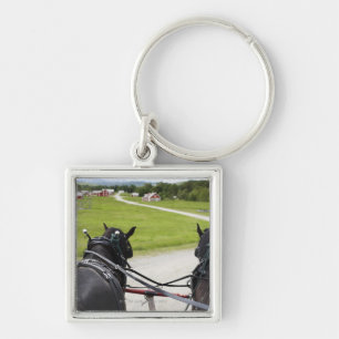 Perchon horses pulling cart against historic key ring