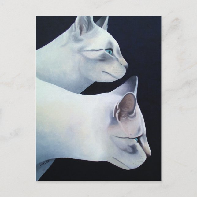 Percival & Lancelot Postcard (Front)