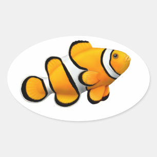 Percula Clown Anenome Fish Customisable Sticker