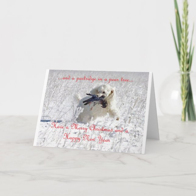 Percy Christmas Card (Front)